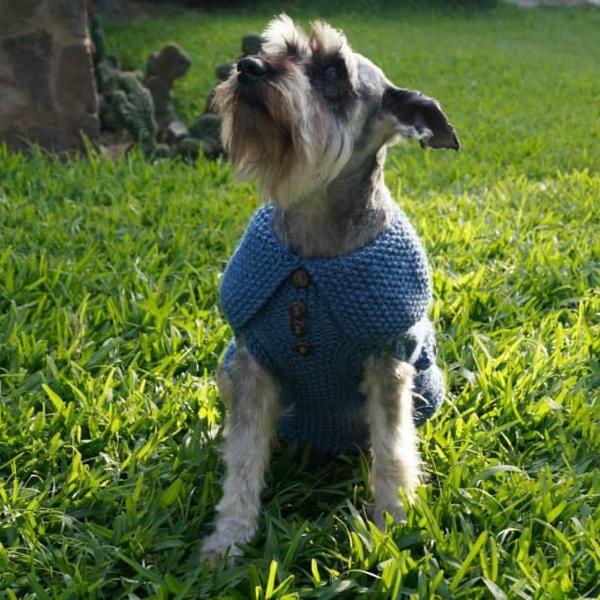 Mixed doggy