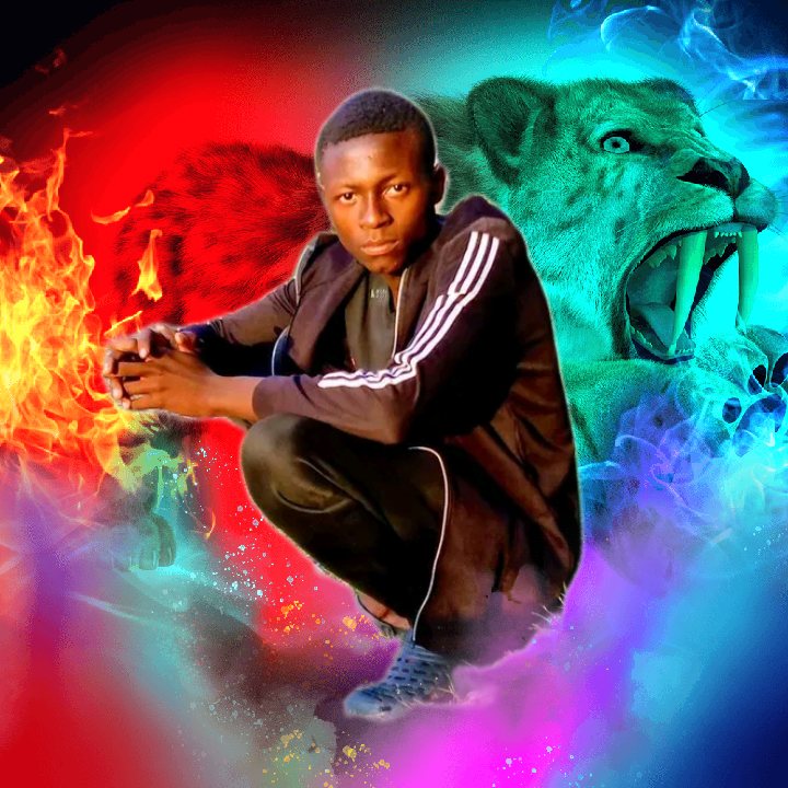 Vdj alex