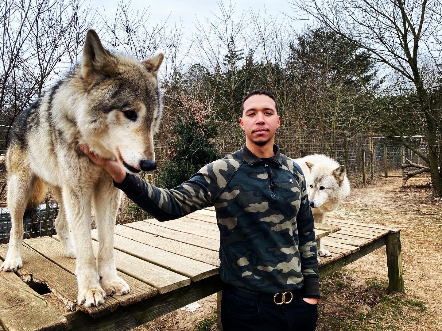 Bigg Badd Wolf