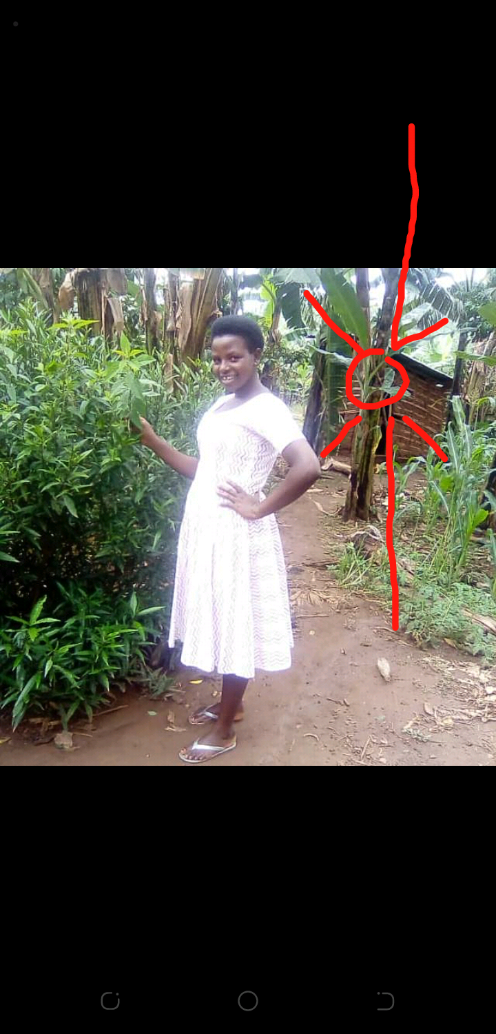 DJ moses 256
