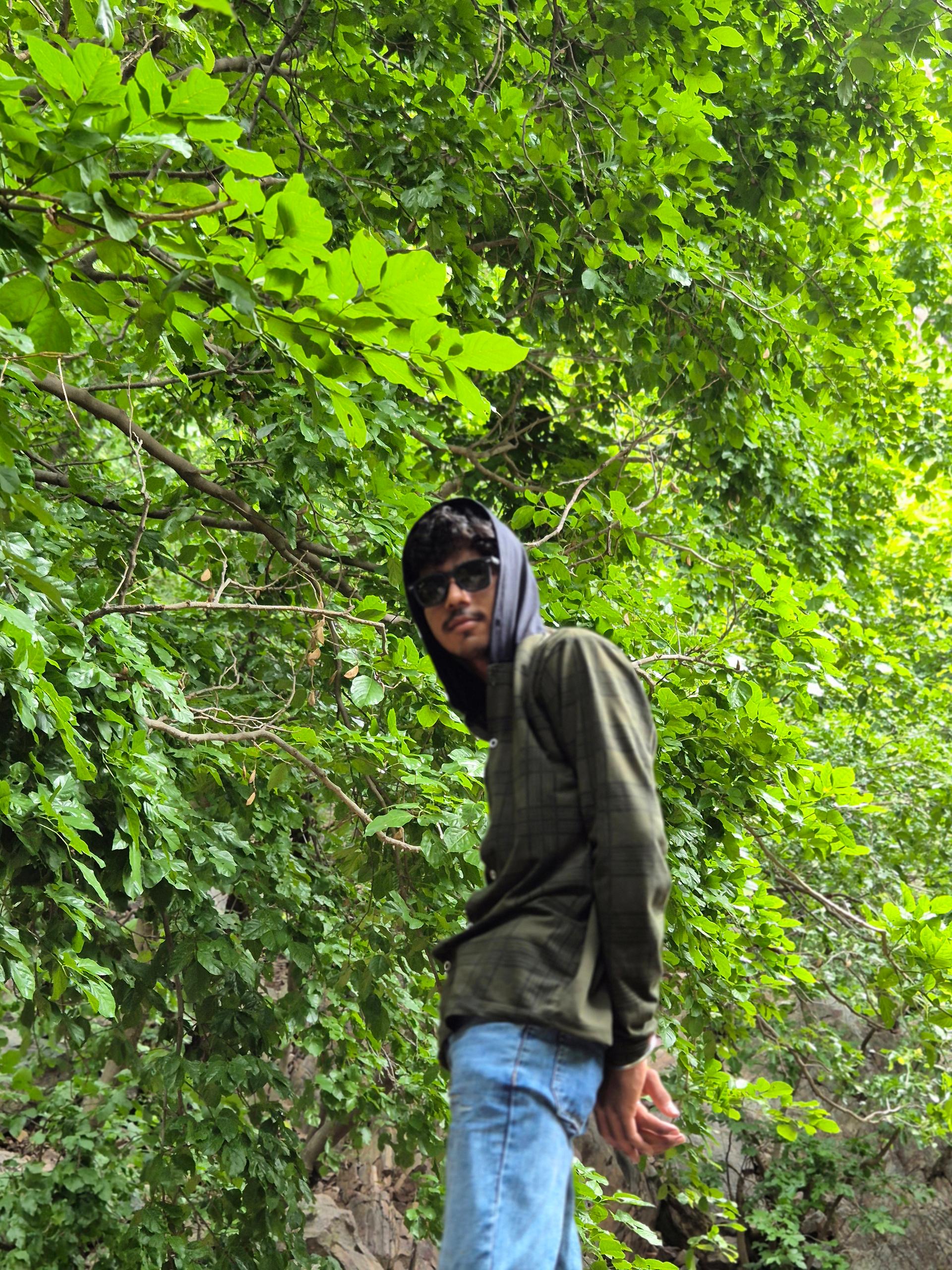 Profile picture